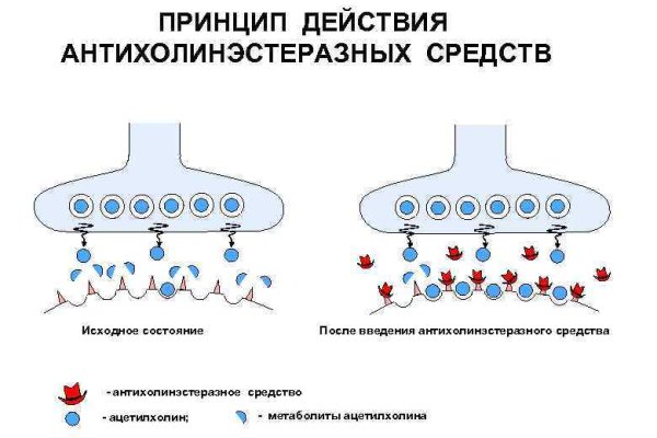 Новый сайт blacksprut bs2web top